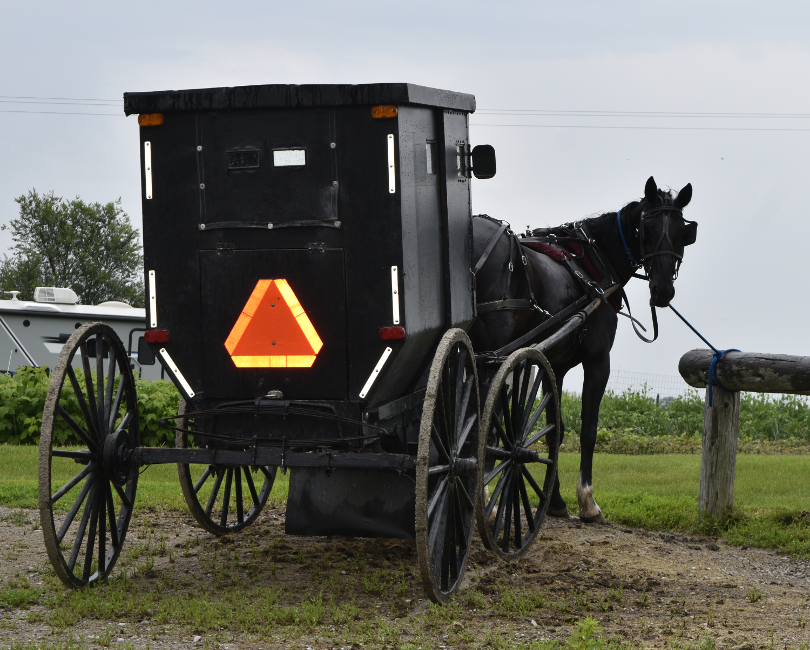 Amish Buggy
